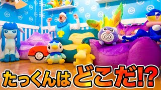 ポケモンだらけの部屋でかくれんぼ！ダンボールハウスに身を隠せ！ポケモンなりきり対決！お家で透明人間チャレンジ【対決】