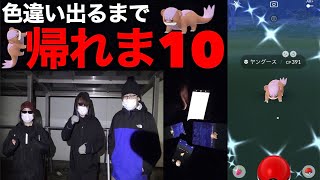 【ゼウス】色違いヤングース実装！色違い出るまで帰れま10【ポケモンGO】