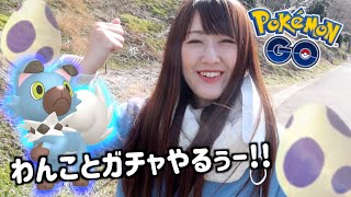 イワンコと10タマガチャ【ポケモンGO】