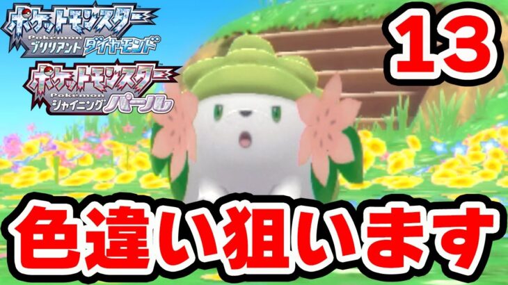 色違いシェイミが欲しい 13【ポケモンBDSP】