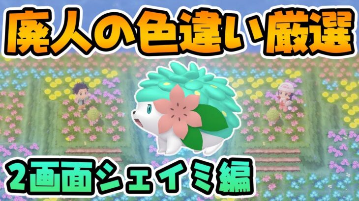 【期間限定】2画面で幻の色違いシェイミを厳選するぞ！【ポケモンBDSP】アルセウスは色入手不可