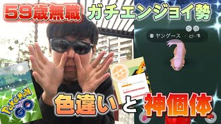 59歳無職のガチエンジョイ勢が旬の色違いと神個体の捕獲で大喜び！次のイベントまでのやることなどたくさん【ポケモンGO】