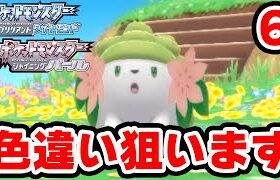 色違いシェイミが欲しい 6【ポケモンBDSP】