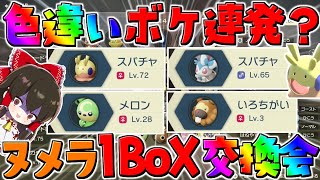 【レジェンズアルセウス 】色違いボケでヤバいことに⁉ヌメラ１BoX交換会で遂にれいむがやらかした・・・【ゆっくり実況/Pokémon LEGENDS アルセウス】