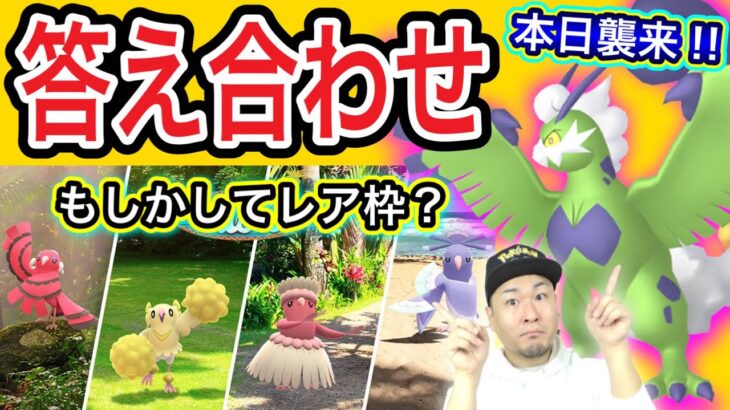 新ポケモン！出現率は？カラーフェスティバル答え合わせ【ポケモンGO】