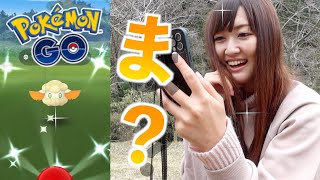 公園スポットライト初開催でモンメン湧きは如何なるものか？モンメンは光申すのか？【ポケモンGO】