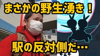 【ポケモンGO】あのレアポケが野生湧き！果たして間に合うのか？