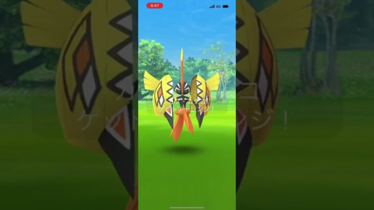 ポケモンGOカプ・コケコレイドバトル2022/03/05その1