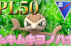 【ポケモンGO】鼻高々！自慢のPL50ムキムキコノハナは強いに決まってるってばよ！！！！