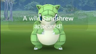 Shiny Sandshrew Community Day Live Pokemon Go Shiny Hunt