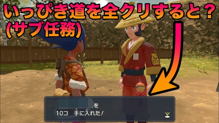 【検証】いっぴき道のサブ任務を全てクリアしてみた結果が面白すぎたww【ポケモンレジェンズアルセウス】