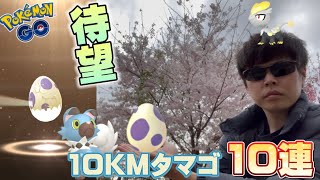 希望に満ちた10KMタマゴ10連！色違いイワンコや100ジャラコ狙いで…???パートナーリサーチについても言及【ポケモンGO】