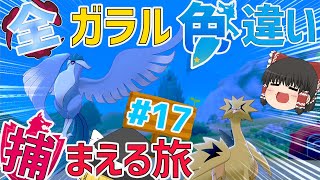 第一部完？　全ガラルポケモンの色違い捕まえる旅　パート17【ポケモン剣盾・ゆっくり実況】