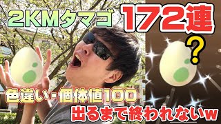 2KMタマゴ172連で色違い・個体値100出るまで割ったら○○が出すぎたｗ春イベント【ポケモンGO】