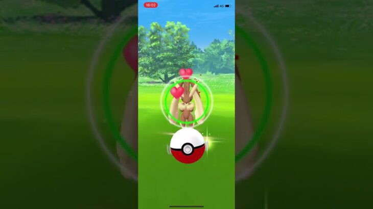 ポケモンGO 野生のミミロップ❗️👀