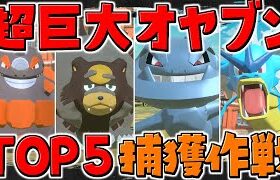 【レジェンズアルセウス 】巨大なオヤブンポケモンTOP5を捕まえろ！！【ゆっくり実況/Pokémon LEGENDS アルセウス】