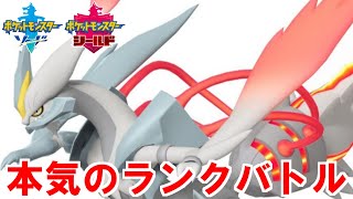 【剣盾ランクバトル配信】キュレムの最強の証明【ポケモンソード/シールド】