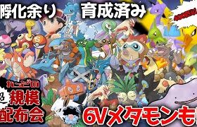 【ポケモンダイパリメイク #ポケモン配布 #ポケモン交換】6Vメタモンに色サンダーがきたぞ！孵化余り・500匹以上育成済み”超”規模配布会 !リスナーさんが育成済み個体大量配布！【概要欄必読！】