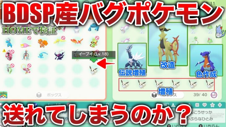 【不法入国】『BDSPで猛威を振るったバグポケモン』VS『ポケモンHOMEのセキュリティ』を検証【増殖/色違い作成/改造/業者産ポケモン】【ポケモンHOME】