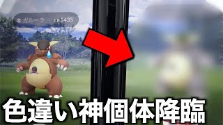 時間判定が２つで片方は危険！？メガガルーラレイドバトルデイにて色違い検証した結果、大変なことに…【ポケモンGO】