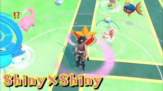 Shiny×Shiny【ポケモンGO】Ver.2