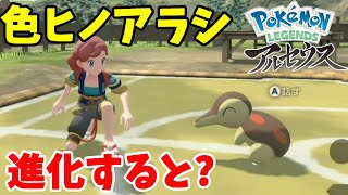 ヒノアラシのライバルはやっぱり！？さよなら色違いヒノアラシ！【ポケモンレジェンズアルセウス】