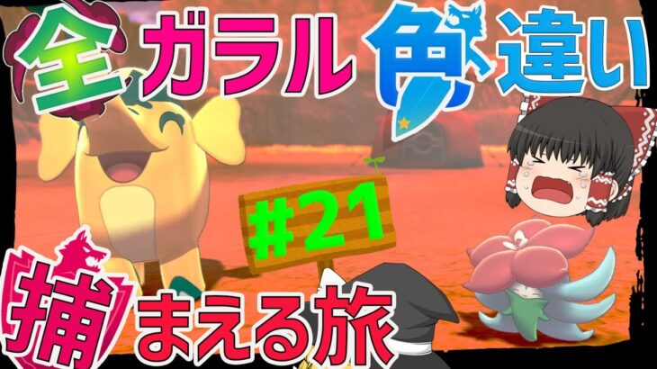 色違いリセット！？　全ガラルポケモンの色違い捕まえる旅　パート21【ポケモン剣盾・ゆっくり実況】