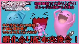 種ポケモンほぼ全種あります！ソードシールドのボールも入荷！第298回目孵化余り配布交換会！（渡せるポケモン・アイテムの詳細は概要欄にて）ポケモンBDSP　ダイパリメイク