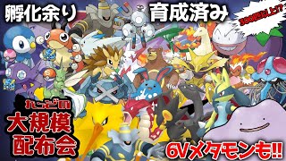 【ポケモンダイパリメイク #ポケモン配布 #ポケモン交換】6Vメタモンに色サンダーきたぞ！孵化余り・300匹以上育成済み大規模配布会 !リスナーさんが育成済み個体大量配布！【概要欄必読！】