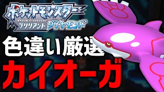 【ポケモンBDSP】色違いカイオーガ厳選する！#2【現在300越え】