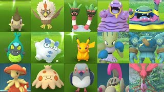 Catch only Gofest 2022 Shiny Karrablast, Axew, Shroomish and many more