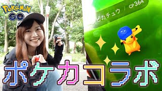 【ポケカコラボ】野生カビゴン・カイリュウ【興奮】:ポケモンGO