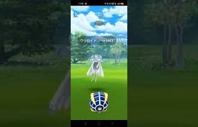 ポケモンGOにウルトラボールが実装!?!?まさかのウツロイドにウルボが使えました…!! #ポケモンGO #ウルトラボール #shorts