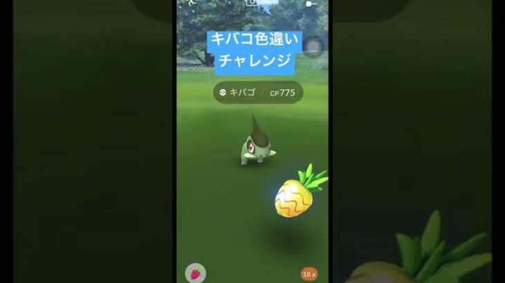 【ポケモンGO】キバゴ色違いチャレンジ#1