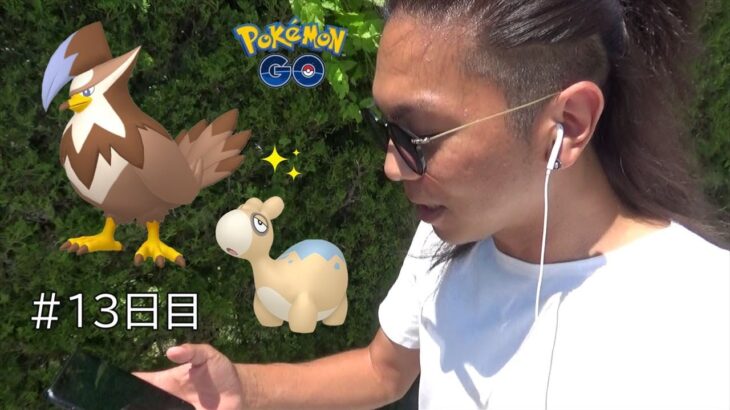 【ポケモンGO】熱き激闘！色違いムックル実装決定！色違いドンメルを探し求めて梅雨明けした猛暑の中を闊歩する金沢の傾奇者スペシャル！【ポケカ13日目】