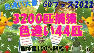 GOフェス2022 3200匹捕獲色違い44匹