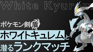 【ライブ配信】まずはバイウールー・Wキュレム構築！【ポケモン剣盾ランクマ】