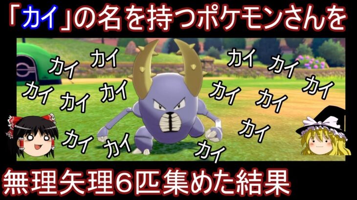 カイ族統一、６匹もいなくて不可能説【ポケモン剣盾】【ゆっくり実況】