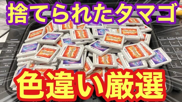 【ロマン】中古ロムに捨てられたタマゴから色違いポケモンを見つけたい！！