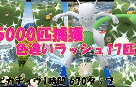 【5000匹捕獲してみた】ポケカコラボイベント