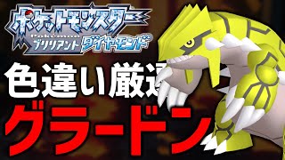 【ポケモンBDSP】目指せ8000回！色違いグラードン厳選！#23【現在7600越え】