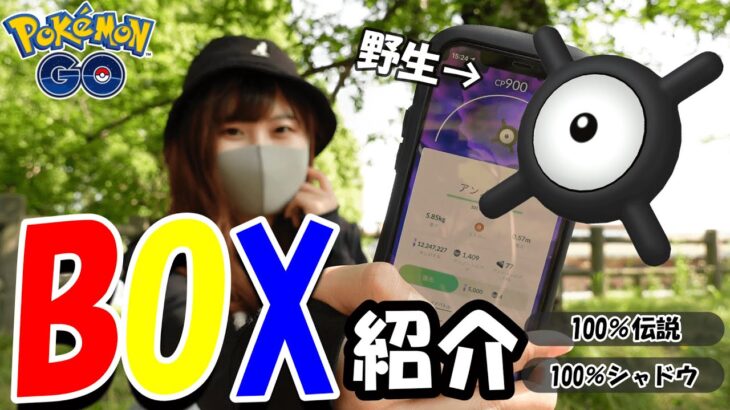 ポケモンBOX・アイテムBOX・メダル紹介2022年ver:ポケモンGO