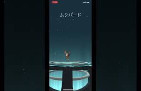 ポケモンGOでムックルからムクバードに進化！