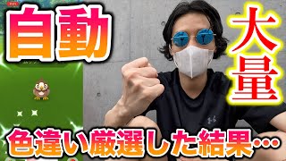 【検証】ムックルのコミュニティデイに色違いは自動で何匹捕まえられるのか？【ポケモンGO】