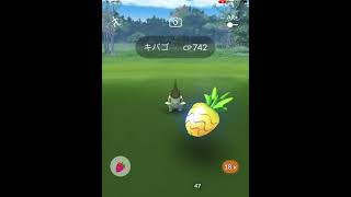 ポケモンGO キバゴ　ゲットチャレンジ！　PokémonGO