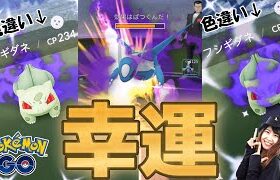 【シャドウ色違い】確率高‼シャドウラティオス初日捕獲🔥:ポケモンGOin愛知県バトルウォークエンド