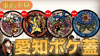 愛知初ポケ蓋‼️下見行ってきました🚗駐車場や周り方.観光スポット.所要時間など紹介:ポケモンGOin愛知県豊橋市_道の駅とよはし/のんほいパーク/豊橋公園/豊橋駅