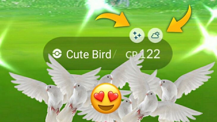 Got new Cute Flying Shiny+Weather Boosted…. Pokemon go 😍