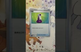 Pokemon TCG 寶可夢 ポケモン 포켓몬 初階牌組 劍盾 100+1