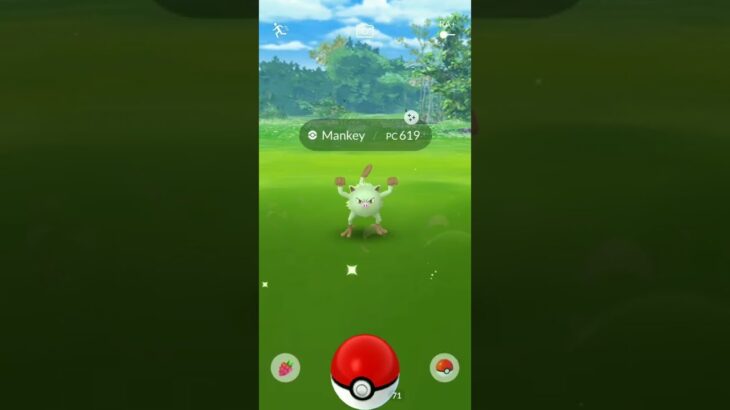 Shiny Mankey || Pokemon GO